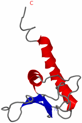 Image NMR Structure - model 1