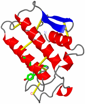 Image Asym. Unit - sites