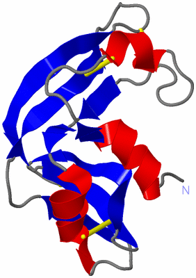 Image NMR Structure - model 1