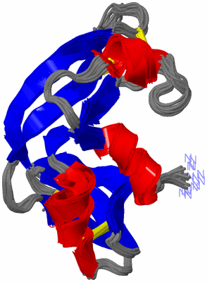 Image NMR Structure - all models
