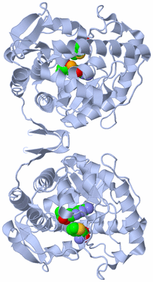 Image Biological Unit 1