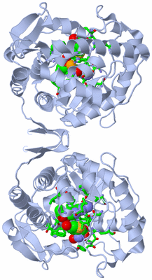 Image Biol. Unit 1 - sites