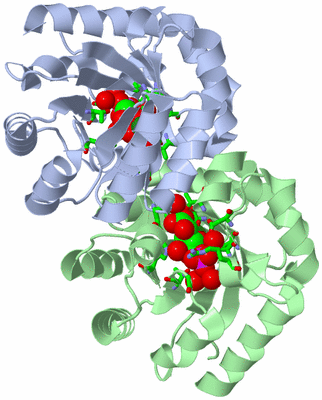 Image Asym. Unit - sites