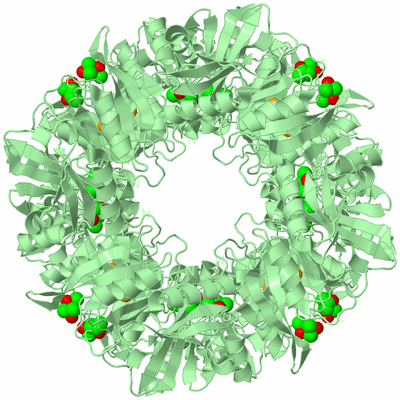 Image Biological Unit 1