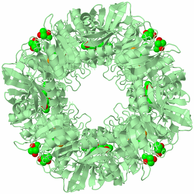 Image Biological Unit 1
