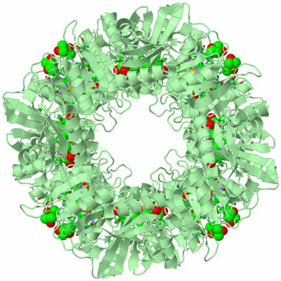 Image Biol. Unit 1 - sites