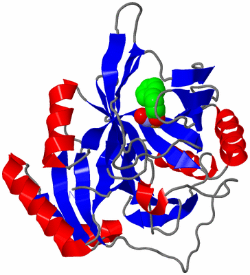Image Asymmetric Unit