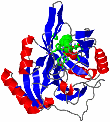 Image Asym. Unit - sites