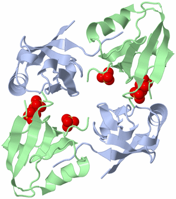 Image Biological Unit 3