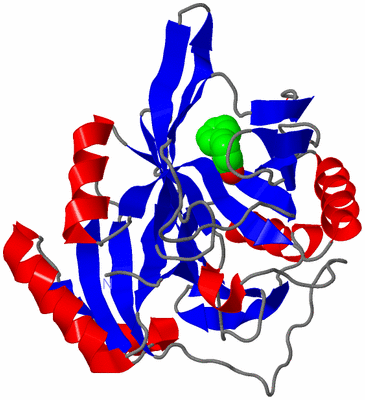 Image Asymmetric Unit