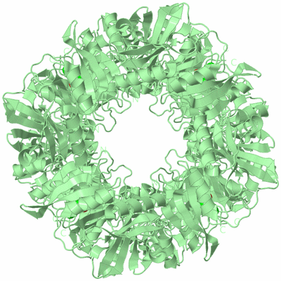 Image Biological Unit 1