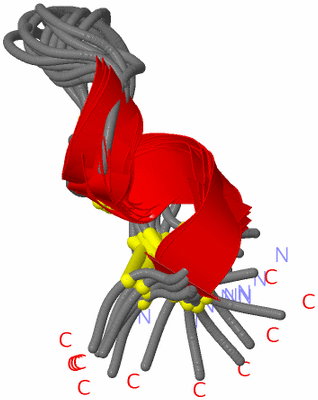 Image NMR Structure - all models