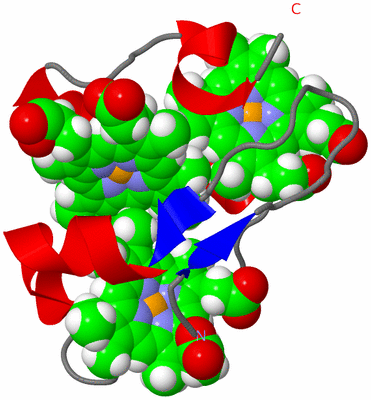 Image NMR Structure - model 1