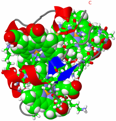 Image NMR Structure - model 1, sites