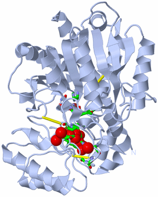 Image Biol. Unit 1 - sites