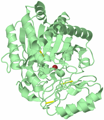 Image Biological Unit 2