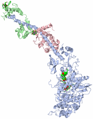 Image Asym./Biol. Unit - sites