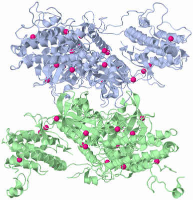 Image Biological Unit 3