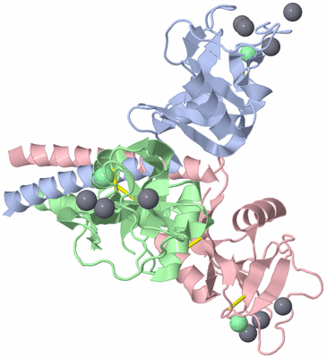 Image Asym./Biol. Unit