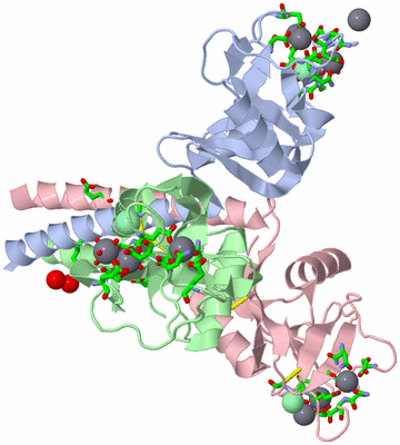 Image Asym./Biol. Unit - sites