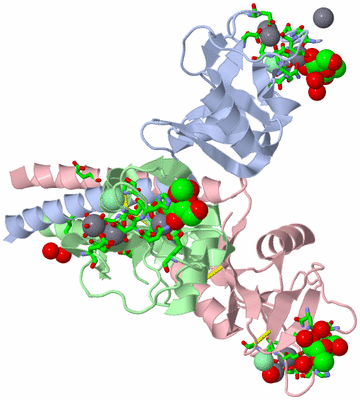 Image Asym./Biol. Unit - sites