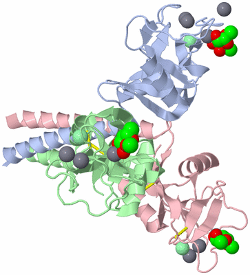 Image Asym./Biol. Unit