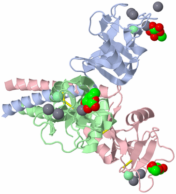 Image Asym./Biol. Unit