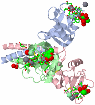 Image Asym./Biol. Unit - sites