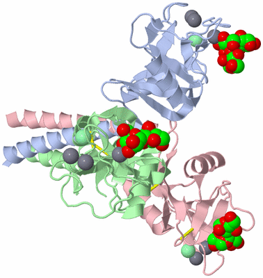 Image Asym./Biol. Unit