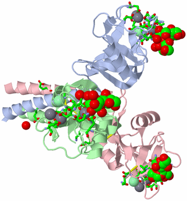 Image Asym./Biol. Unit - sites