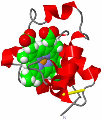 Image NMR Structure - model 1