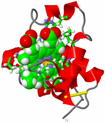 Image NMR Structure - model 1, sites