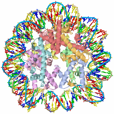 Image Asym./Biol. Unit