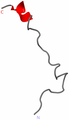 Image NMR Structure - model 1