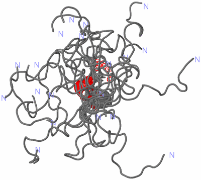 Image NMR Structure - all models