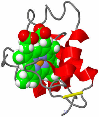 Image NMR Structure - model 1