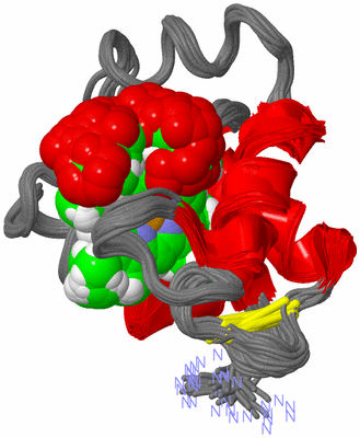 Image NMR Structure - all models