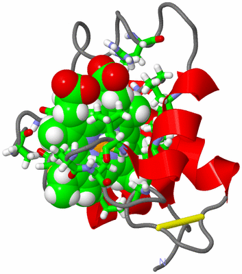 Image NMR Structure - model 1, sites