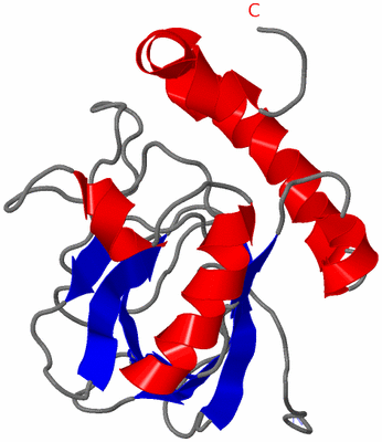 Image NMR Structure - model 1