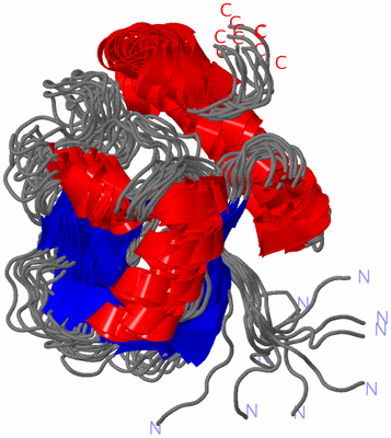 Image NMR Structure - all models