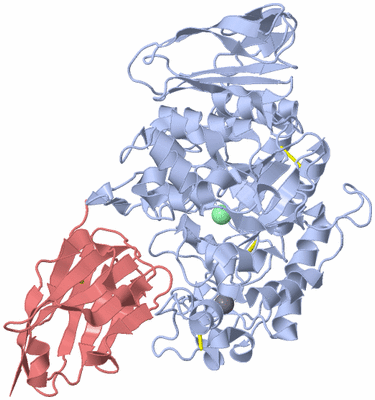 Image Biological Unit 1