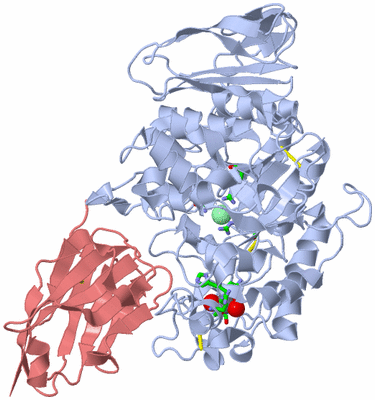 Image Biol. Unit 1 - sites