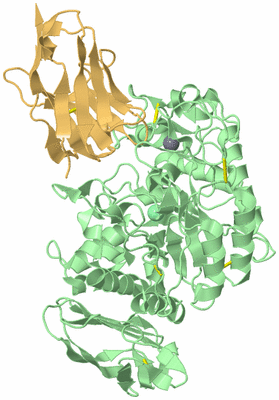 Image Biological Unit 2