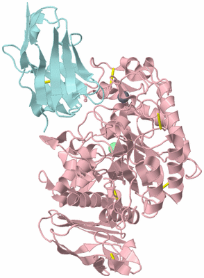 Image Biological Unit 3