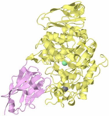 Image Biological Unit 4