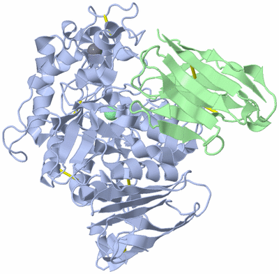 Image Biological Unit 1