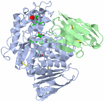 Image Biol. Unit 1 - sites