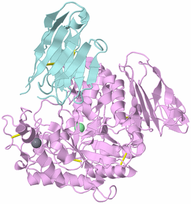 Image Biological Unit 3