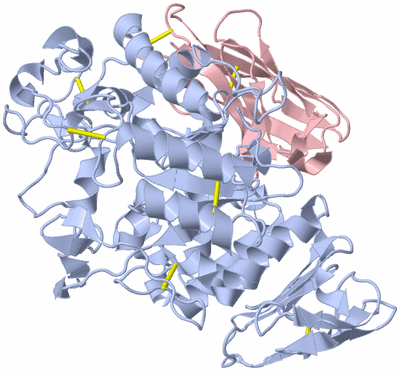 Image Biological Unit 1