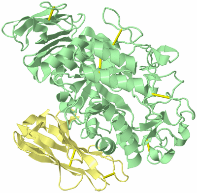 Image Biological Unit 2